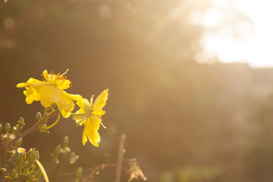 Récap du mois d’avril 🌻