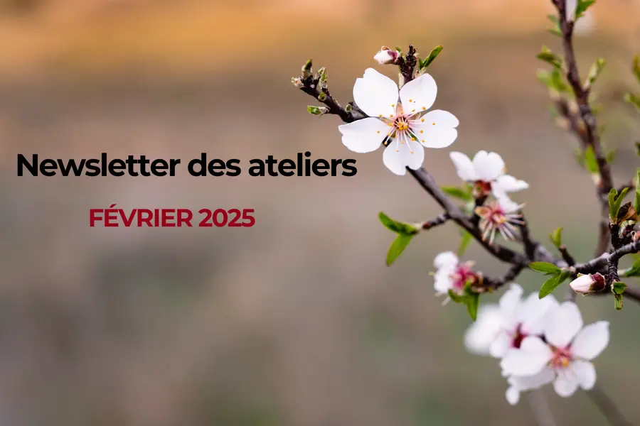 Newsletter des ateliers de l'AFDIAG "Février 2025"