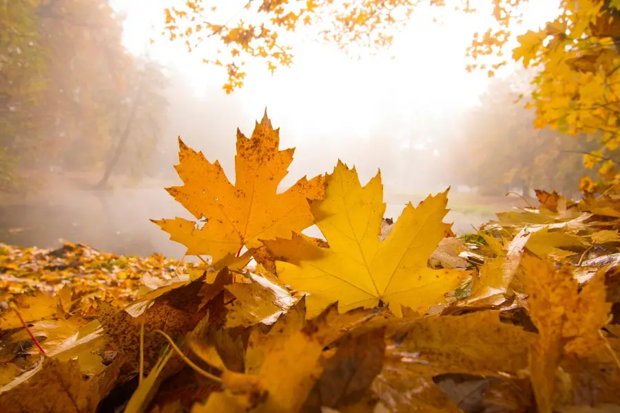 Retour sur le mois d’octobre 🍂