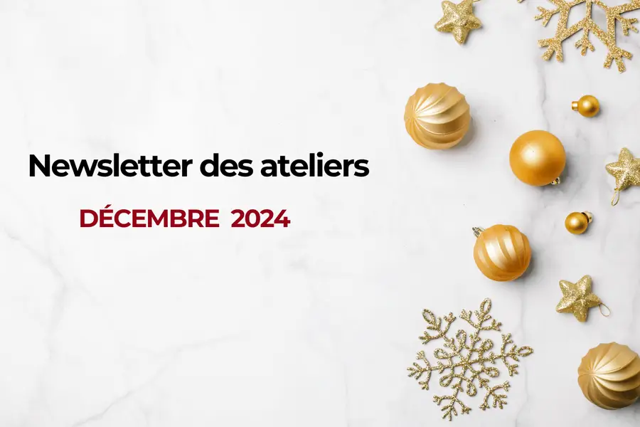 Newsletter des ateliers de l'AFDIAG "Décembre 2024"